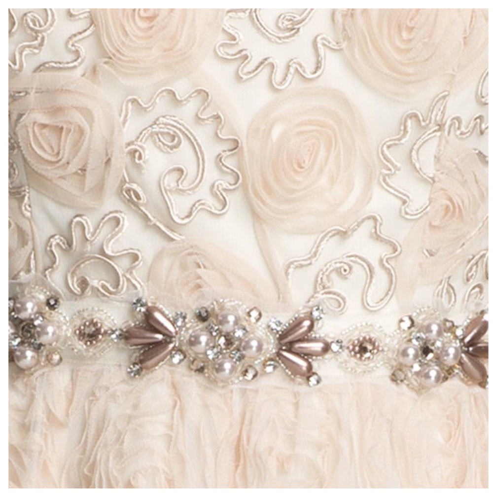 Adrianna Papell Blush Rosette Ballgown Sz 10 12 16 - Picture 4 of 4