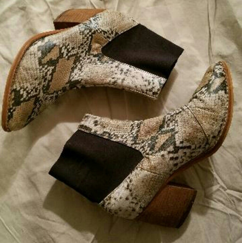 Snake print leather Jeffrey Campbell ankle boots!