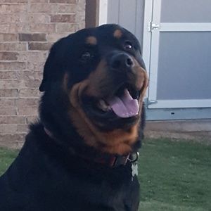 Meet your Posher, Renee