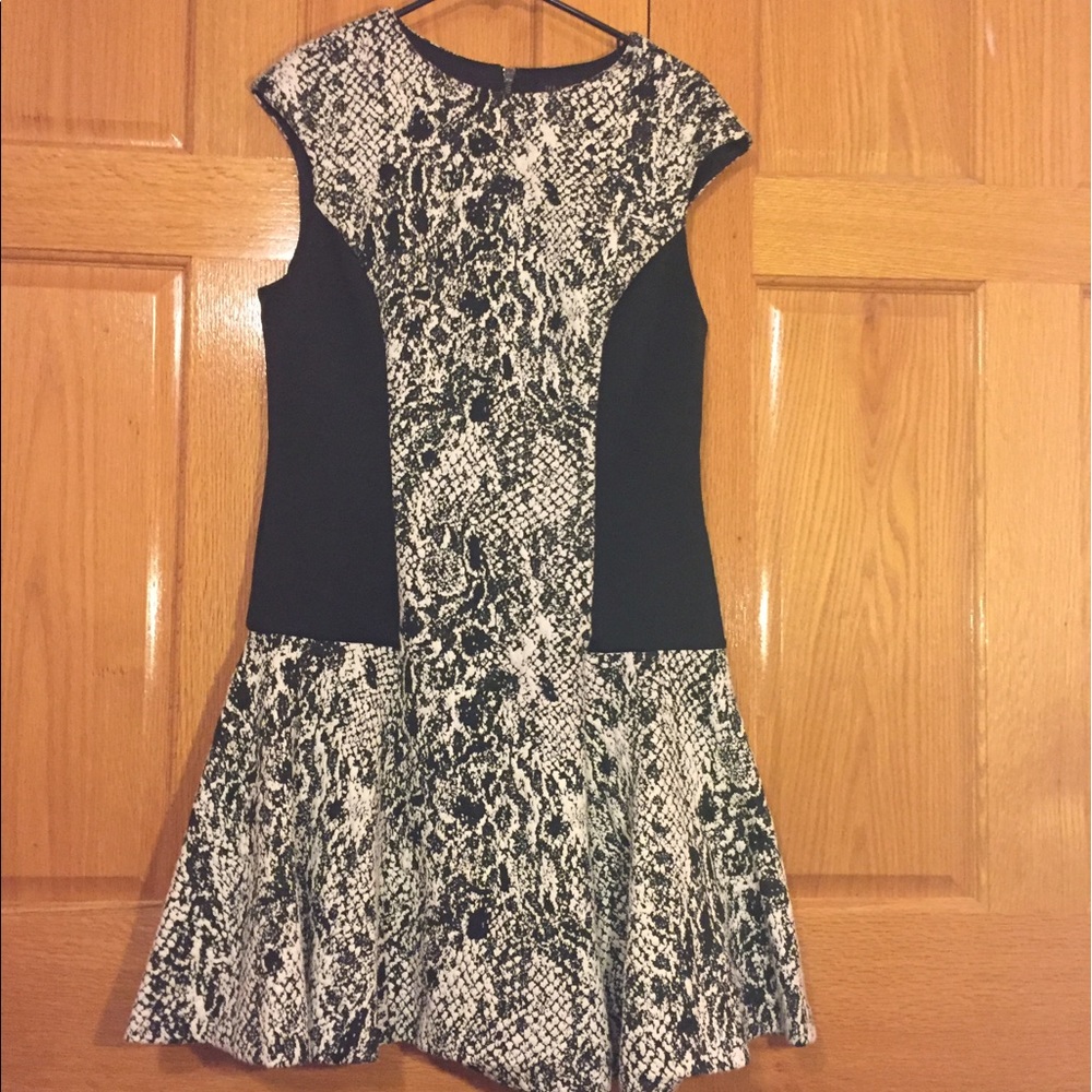 Ted Baker Snake Jacquard Jersey Dress