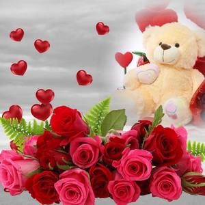 Meet your Posher, Daniela