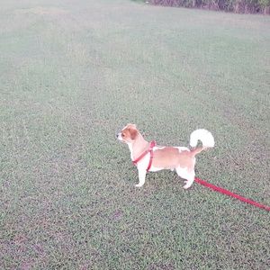 Meet your Posher, Mary catherine