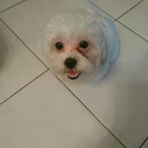 Meet your Posher, Caroline