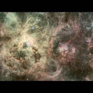 Meet your Posher, Felipe