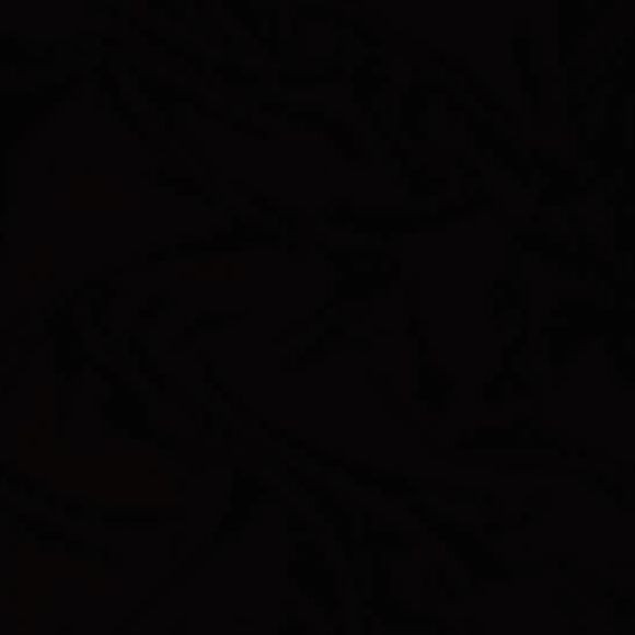 Meet your Posher, Miguelito - Picture 1 of 1