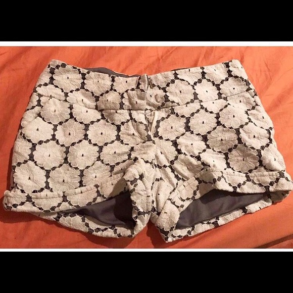 Shorts and Shirts - Picture 6 of 8