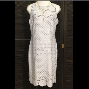 💙NEW RMLL DRESS SIZE: 6