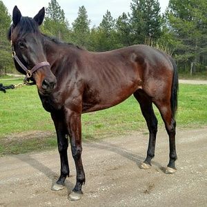 Meet your Posher, Kaiya