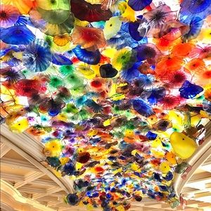 Meet your Posher, Sophia