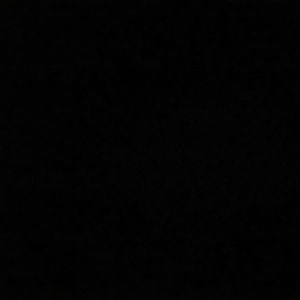 Meet your Posher, Frank