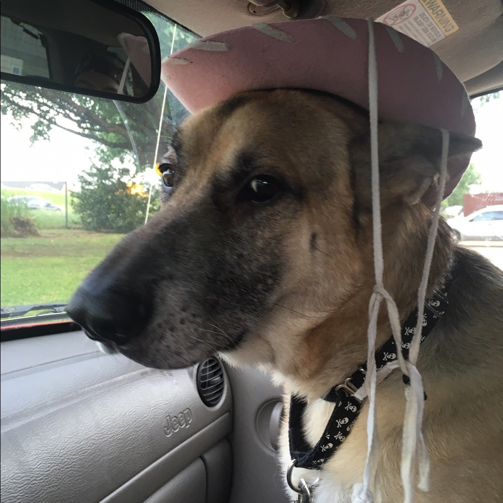 Chupy says "embrace your inner Fashionista!"
