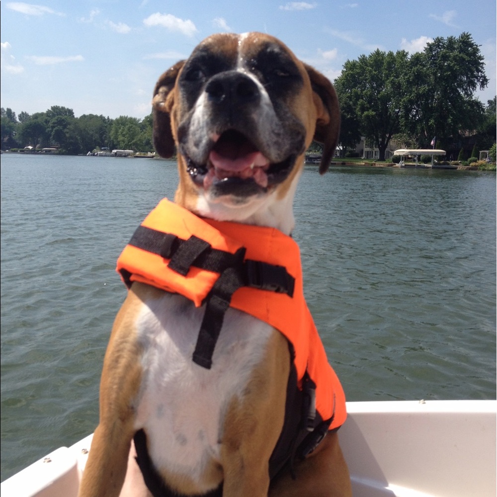 Meet your Posher, Daniel