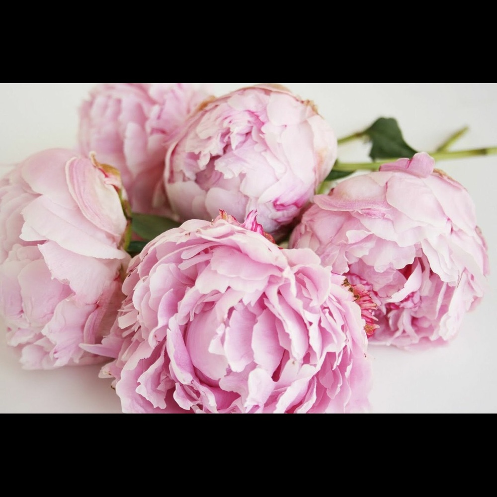 Meet your Posher, Mood