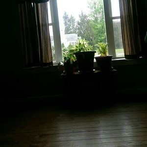 Meet your Posher, Shelley