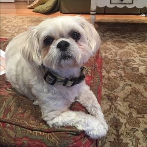 Meet your Posher, Janelle