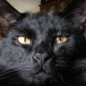 Meet your Posher, Lorie