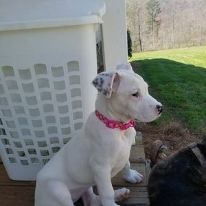 Meet your Posher, Tammy