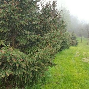 Meet your Posher, Sophia