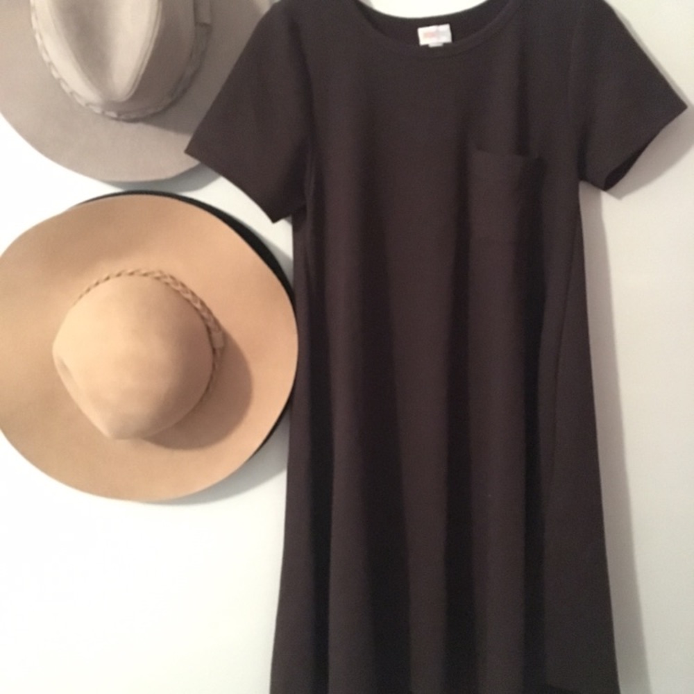 LIKE NEW LuLaRoe Brown Carly (thicker material)