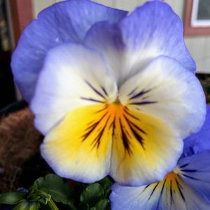 Meet your Posher, Leslie