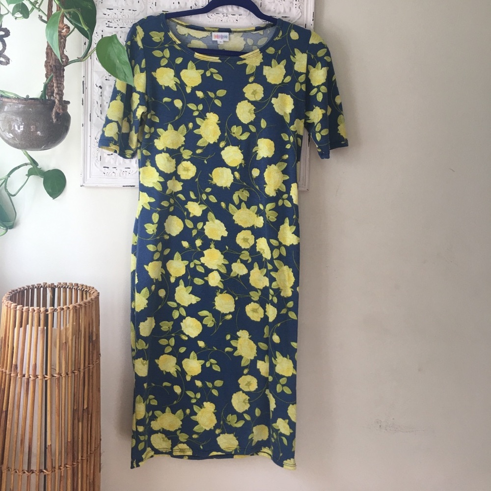 Lularoe Julia dress