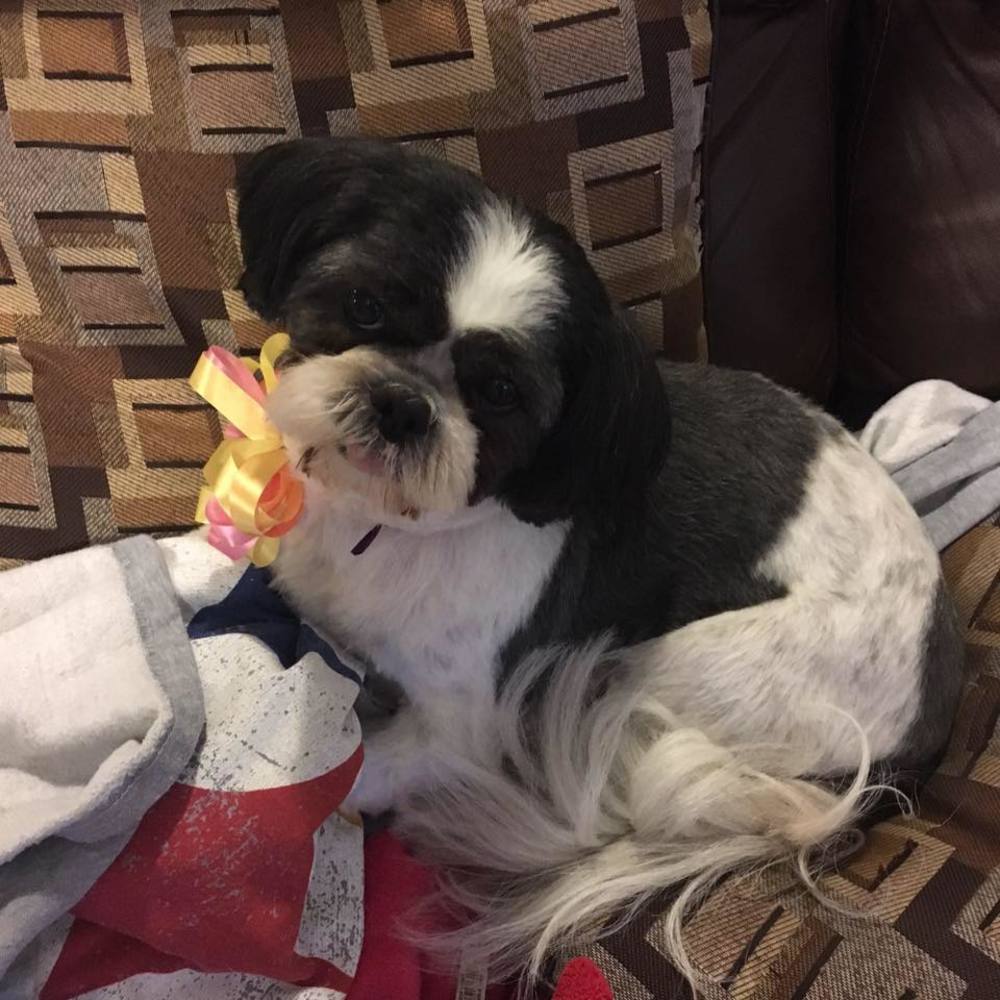 Meet your Posher, Veronica