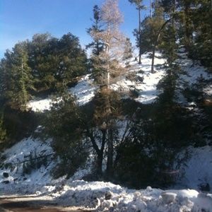 Meet your Posher, Cecilia