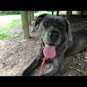 Meet your Posher, Deanna