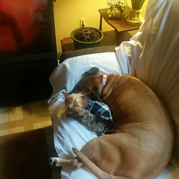 Meet your Posher, Michelle - Picture 3 of 8