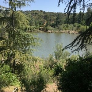 Meet your Posher, Nishan