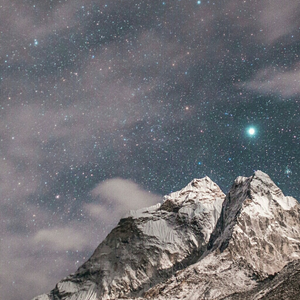 Meet your Posher, Lily