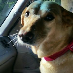 Meet your Posher, Kate