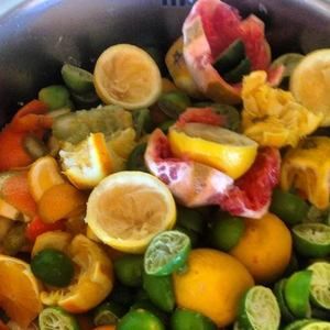 Meet your Posher, Tom