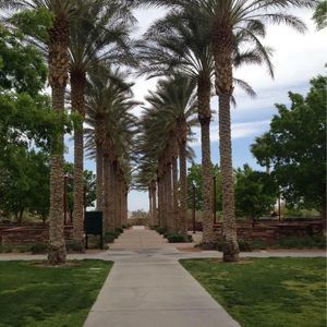 Meet your Posher, Becky