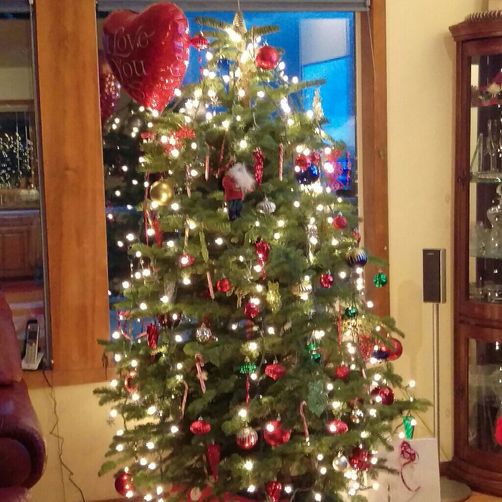 Meet your Posher, Nicky