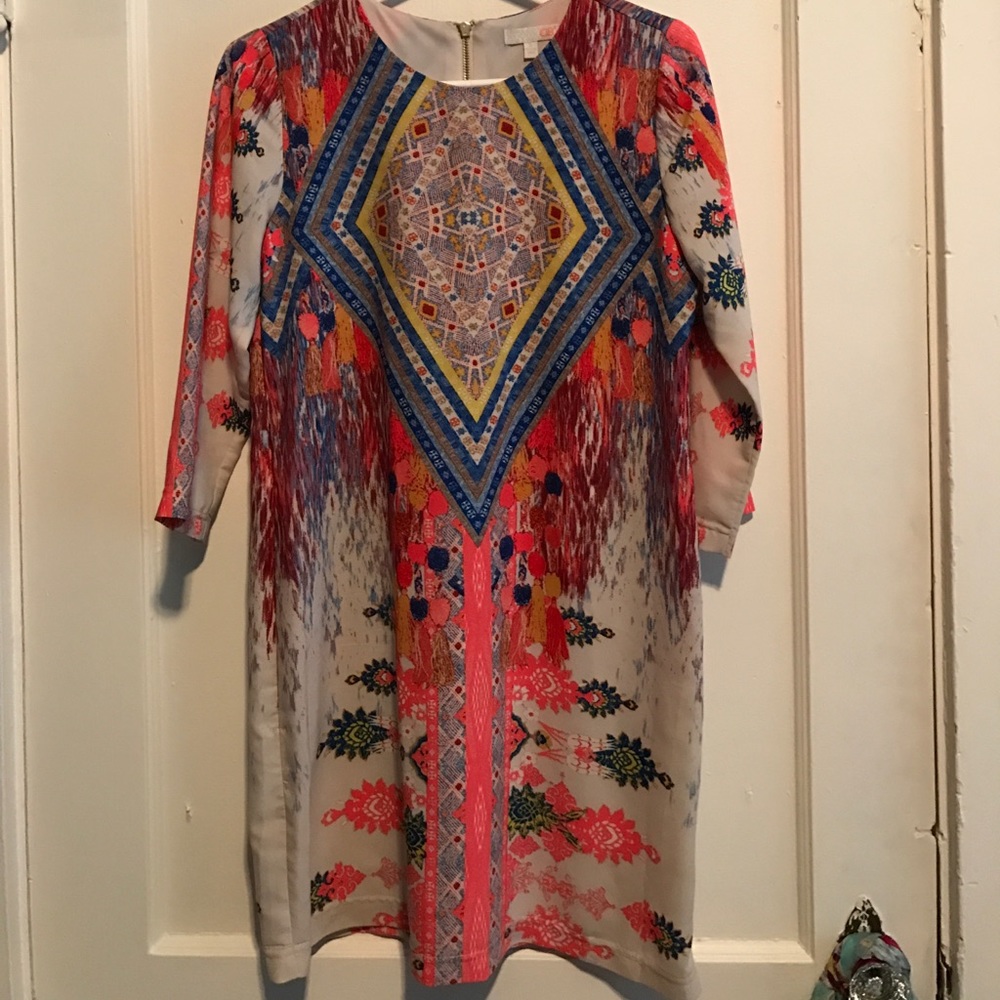 Gianni Bini dress!