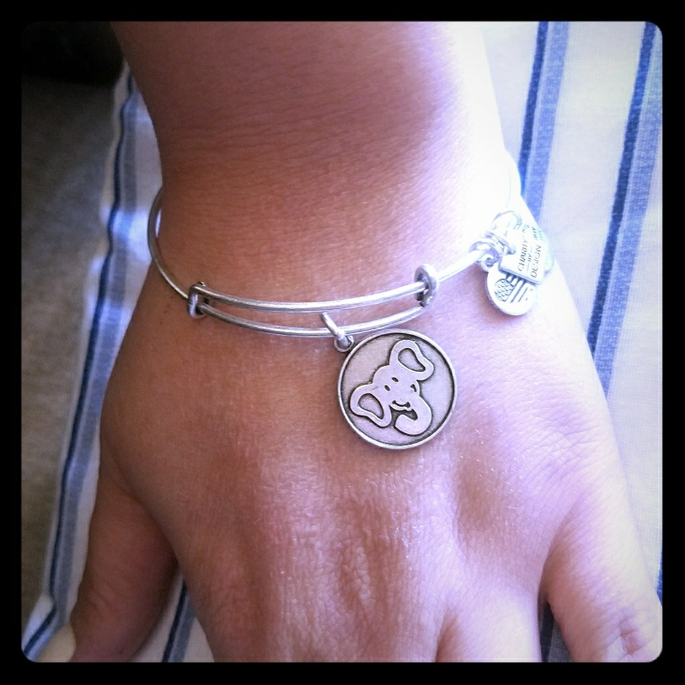 Alex and Ani bracelet