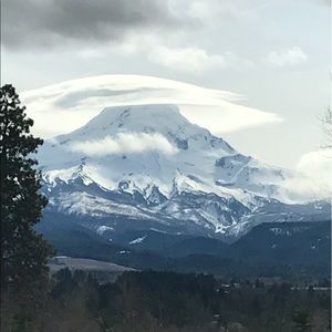 Meet your Posher, Tamela