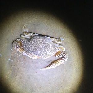 Meet your Posher, Jeff