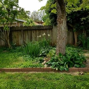 Meet your Posher, Joyce