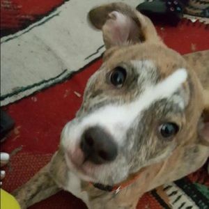 Meet your Posher, Krystal