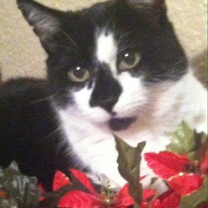 Meet your Posher, Debora