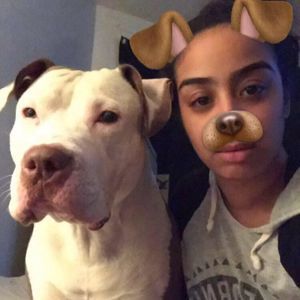 Meet your Posher, Cheliz