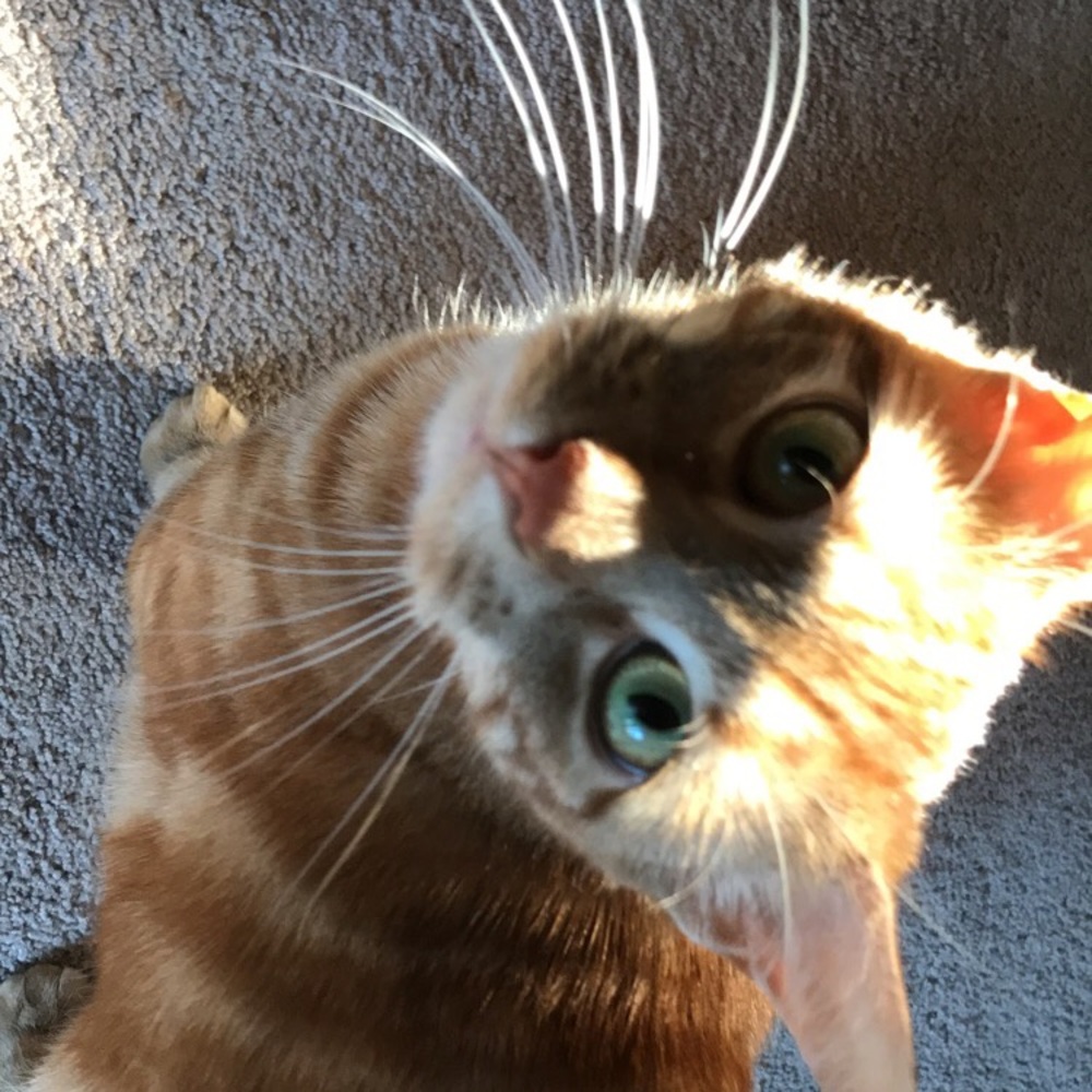 Meet your Posher, Karina