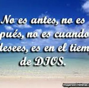 Meet your Posher, Genesis