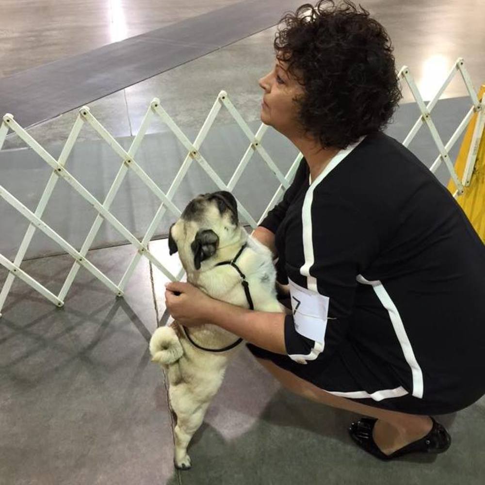 Meet your Posher, Lori