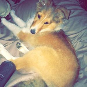 Meet your Posher, Cassie