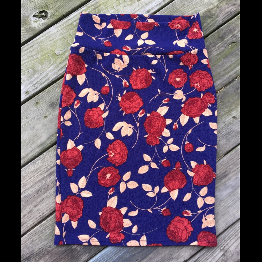 NWOT LuLaRoe Cassie skirt, Size S