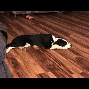 Meet your Posher, Teresa