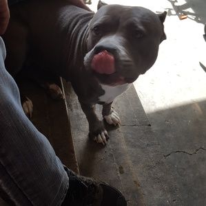 Meet your Posher, Nina